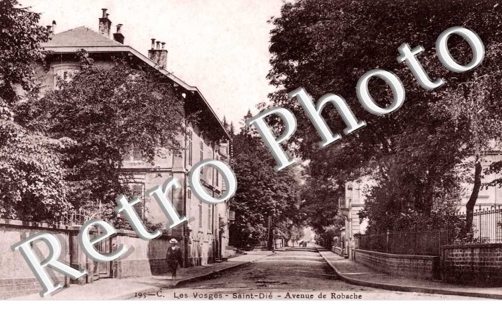 Avenue de robache