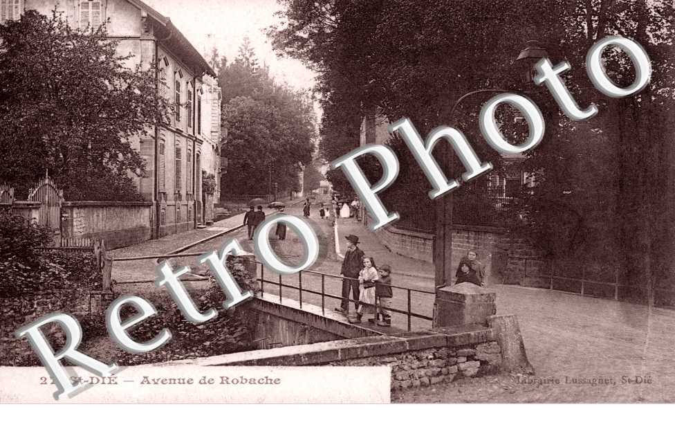 Avenue de Robache