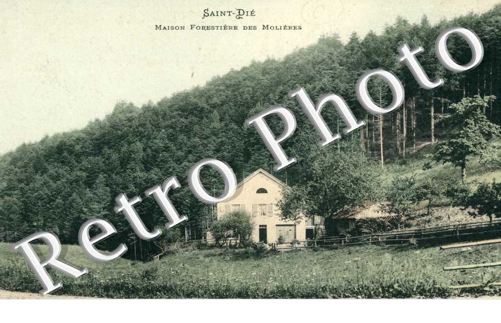 Maison Forestiere des Molieres