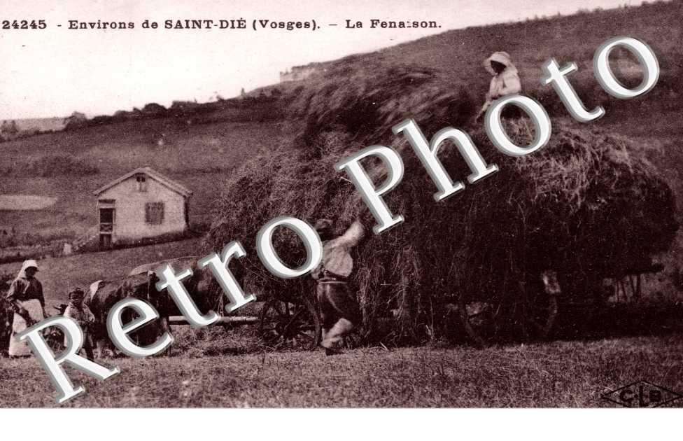 La Fenaison