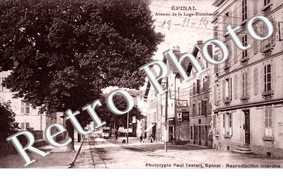 Avenue de la Loge Blanche