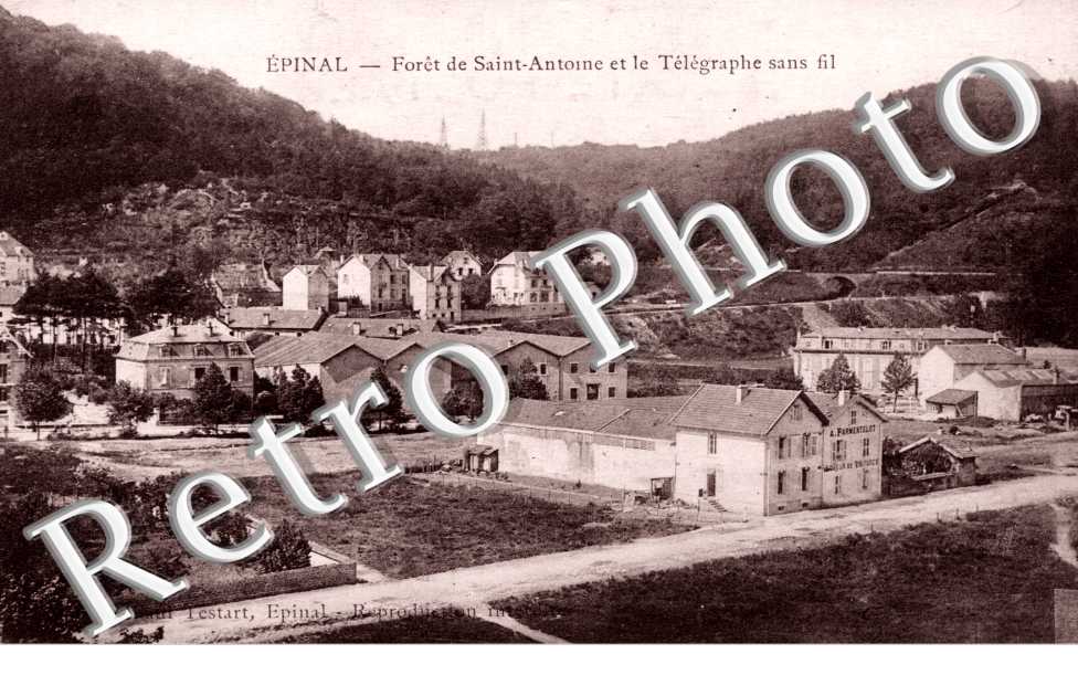 Foret de saint Antoine