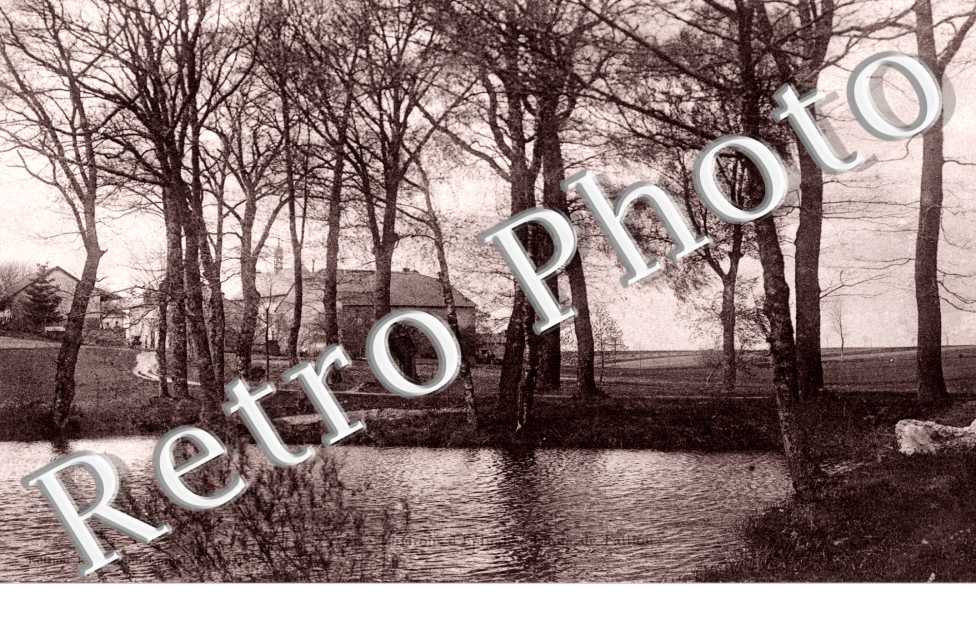 Etang de Failloux
