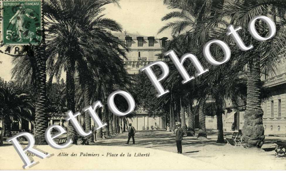 Allee des Palmiers - place de la liberte