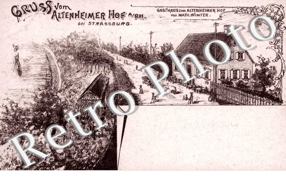 Gasthaus zum Altenheimer Hof von Math.Winter