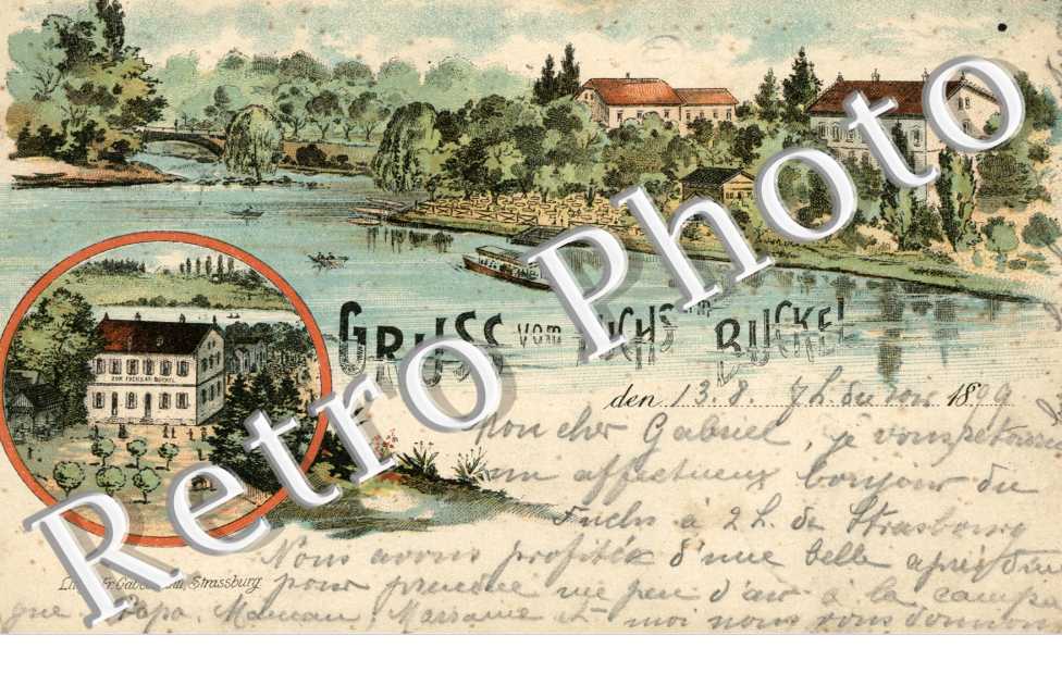 Gruss vom Fuchs am Buckel