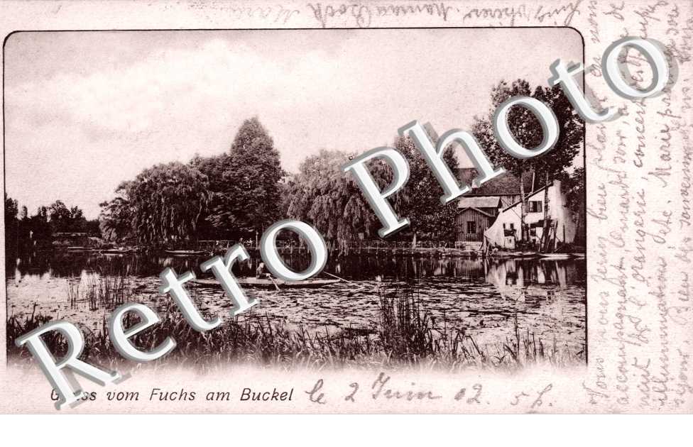 Gruss Fuchs am Bucket