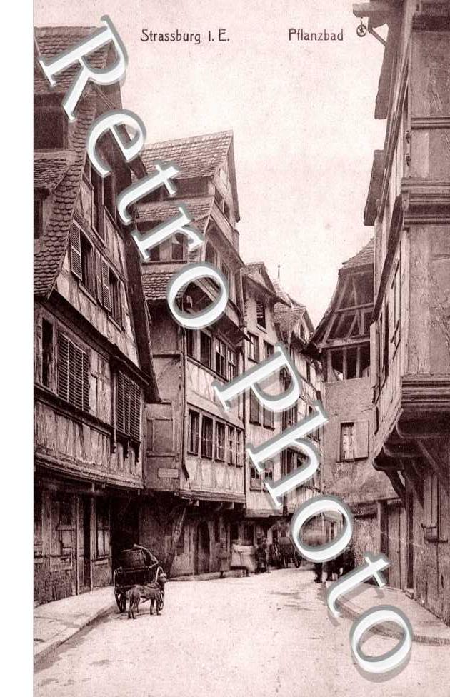 RUE DU BAIN AUX PLANTES