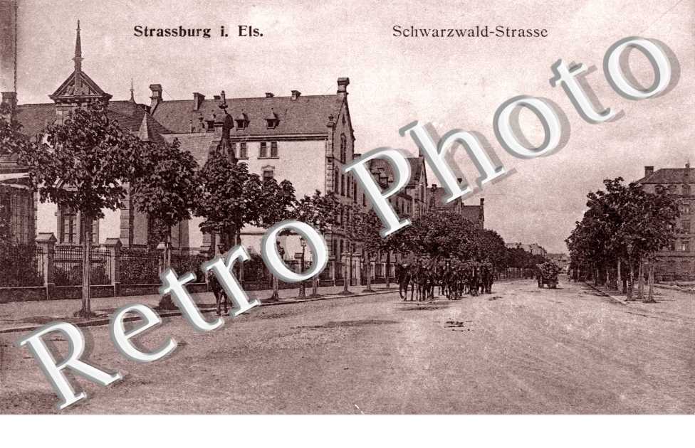 Schwarzwald-Strasse