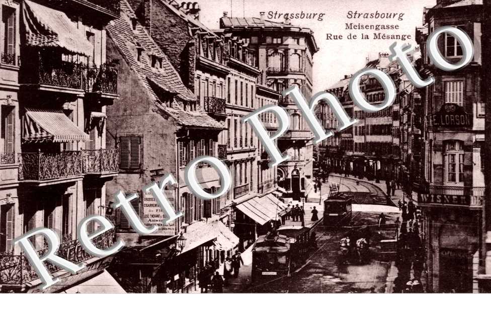 Meisengasse - rue de la Mésange