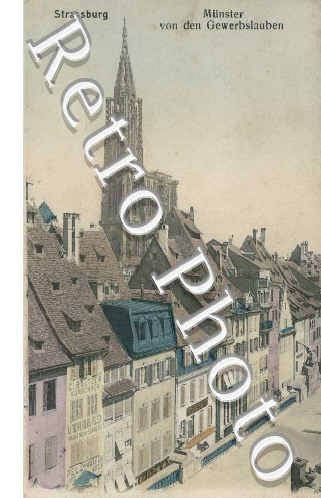 Munster von den Gewerbslauben