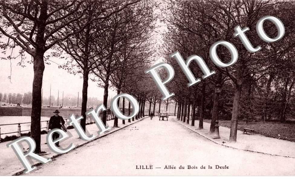 Allee du Bois de la Deule