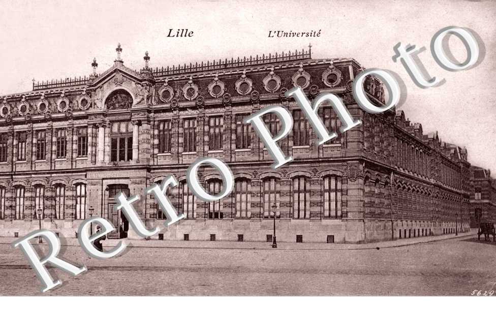 l'universite
