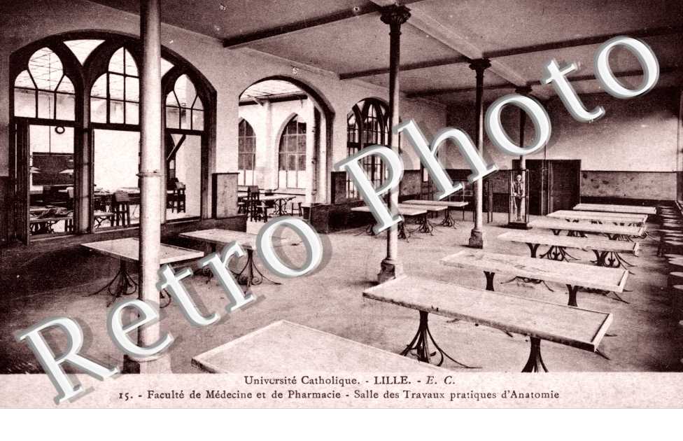 Université Catholique faculté de Médecine et de Pharmacie Salle des travaux partiques d'anatomie