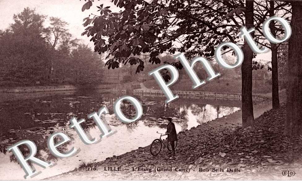 l'Etang (grand Carre) Bois de la Deule