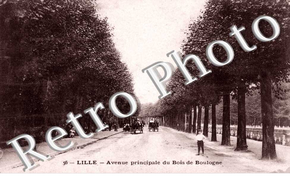 Avenue Principale du Bois de Boulogne