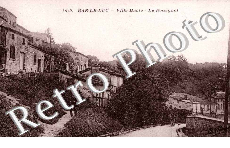 le Rossignol