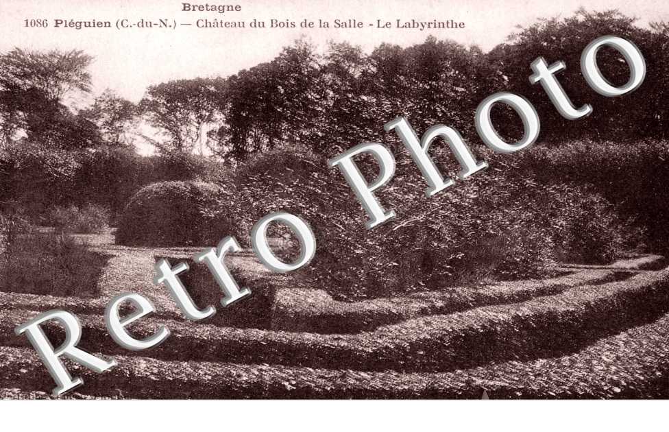 Château du Bois de la Salle - Labyrinthe