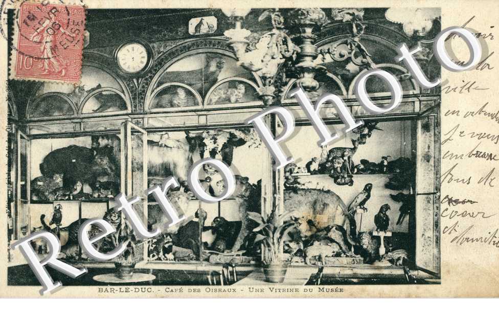 Collection du Cafe des Oiseaux