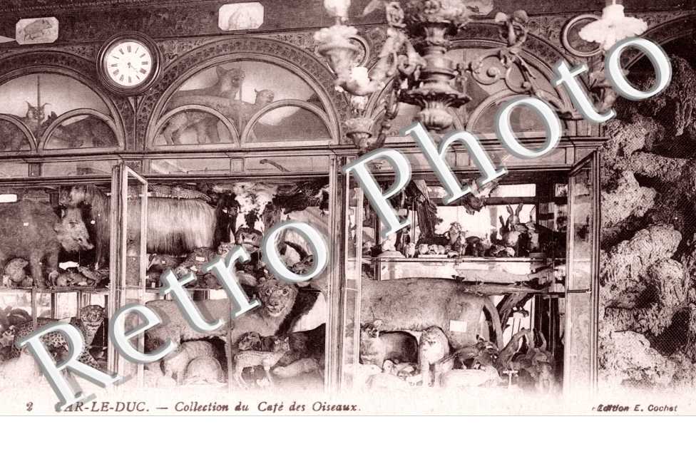 Collection du Cafe des Oiseaux