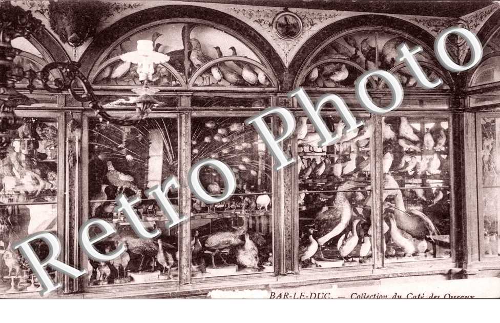 Collection du Cafe des Oiseaux