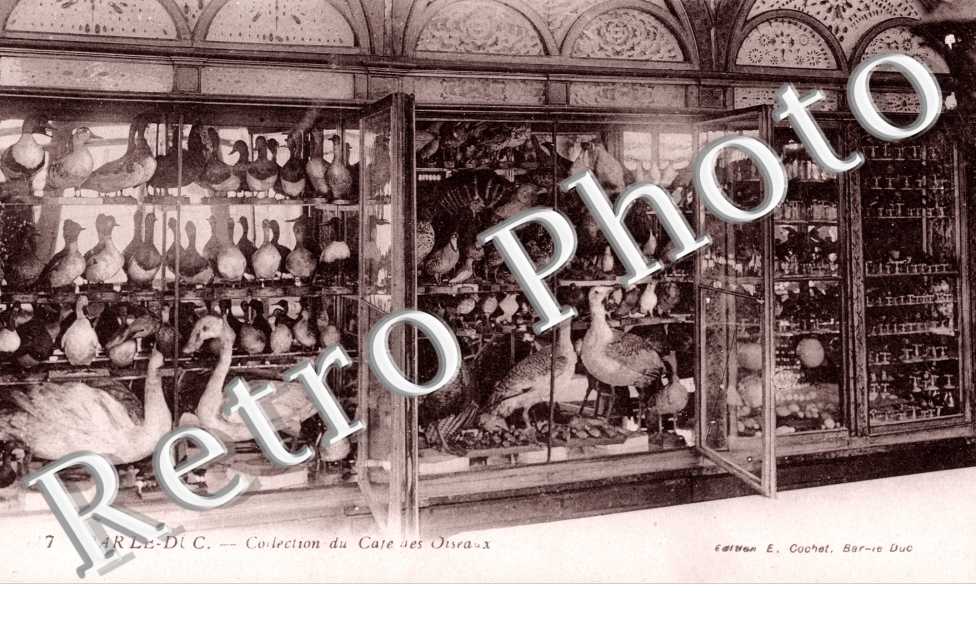 Collection du Cafe des Oiseaux