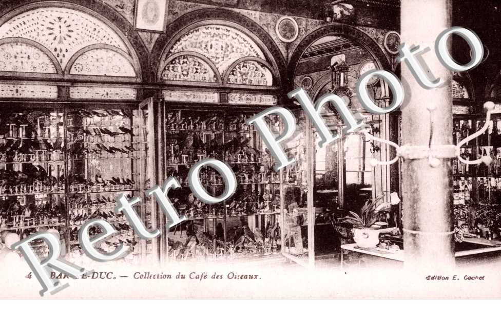 Collection du Cafe des Oiseaux