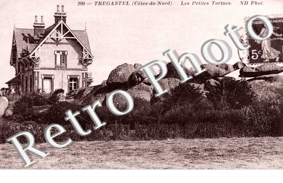 Les Petites Tortues