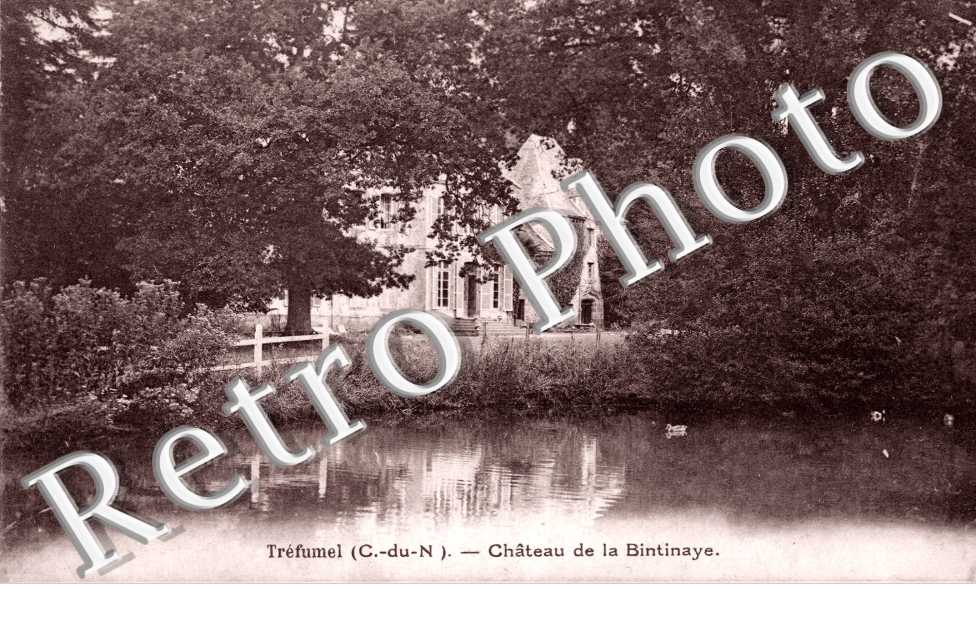 Chateau de Bintinaye