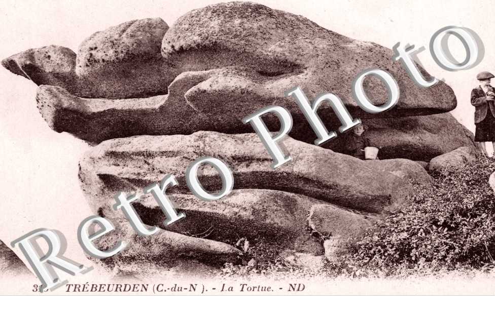 La Tortue