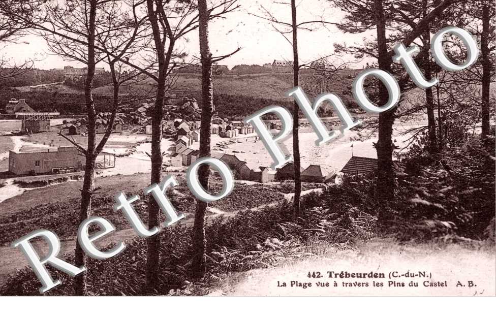 la plage vue a travers les pins du Castel