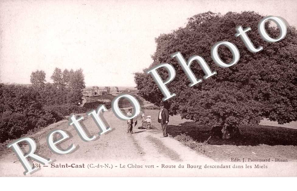 Le Chêne vert - Route deu bourg descendant dans les Miels