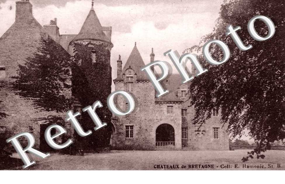 Chateau de Chesnay