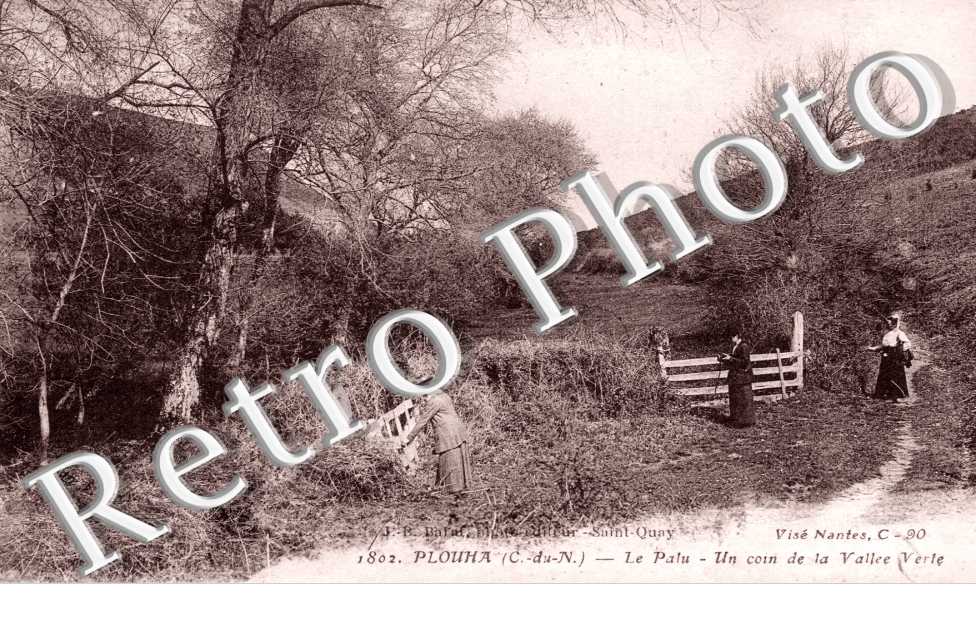 Le Palus