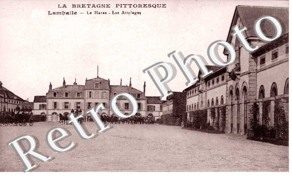 Le Haras, les Attelages