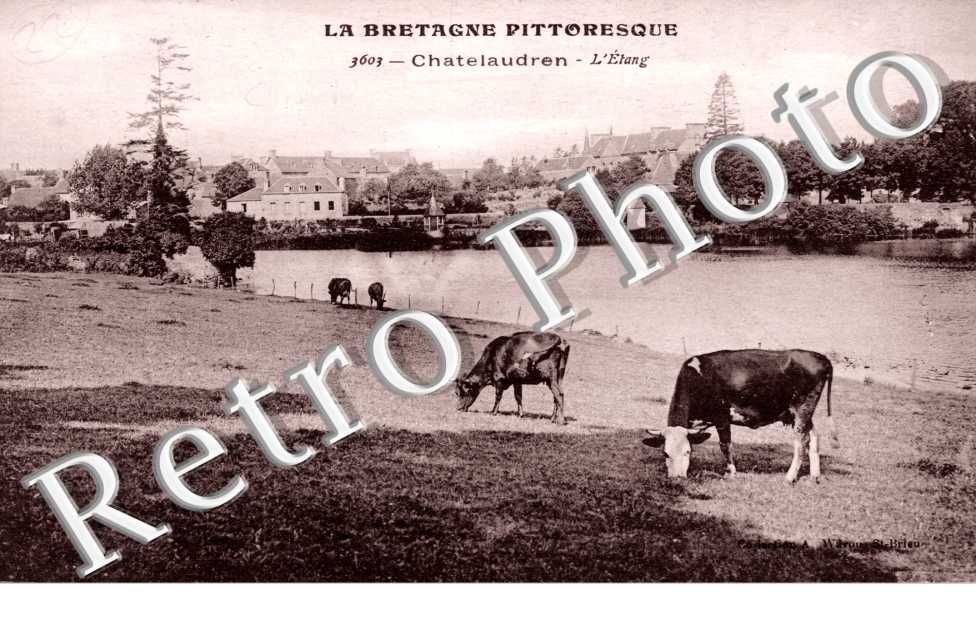 L'Etang