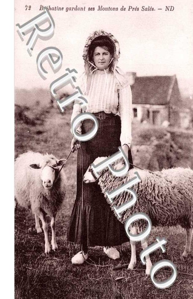 Brehatine gardant ses moutons de Pres Sales