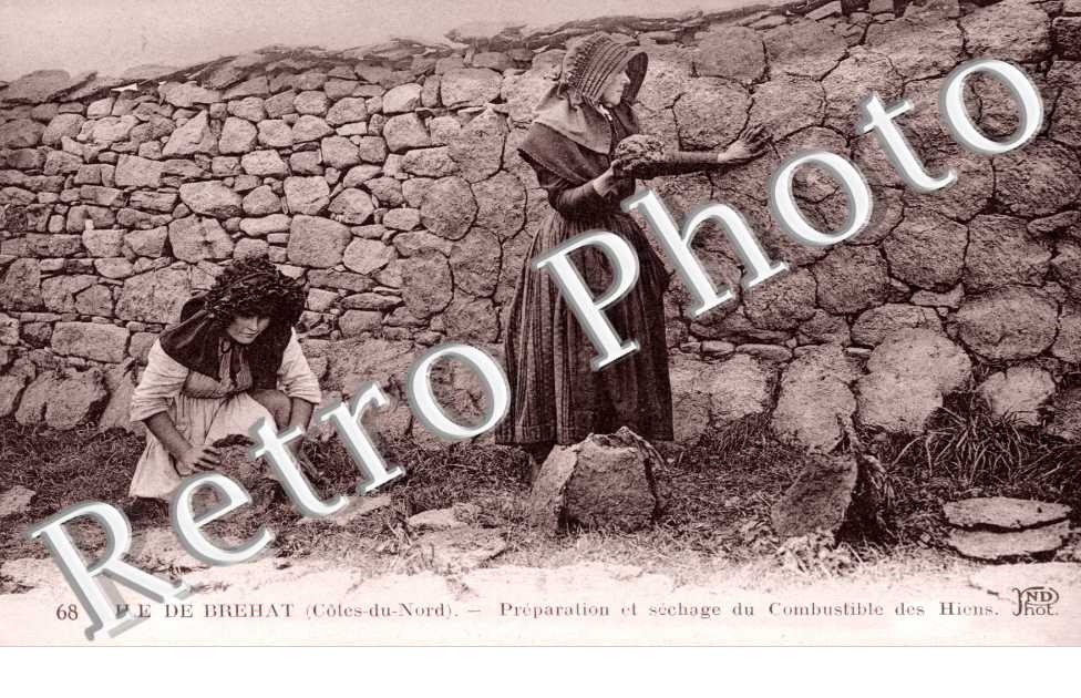 Preparation et Sechage du Combustible des Hiens