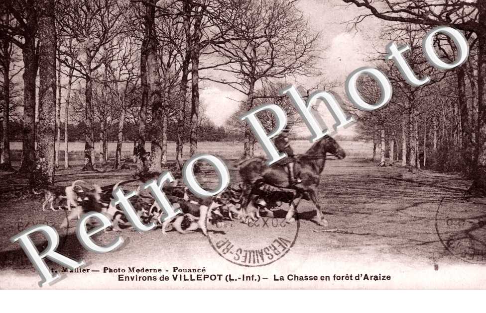 la Chasse en foret d&#039;Araize