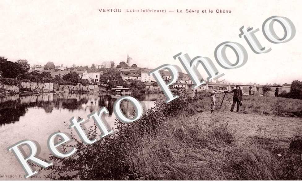 La Sevre et le Chene