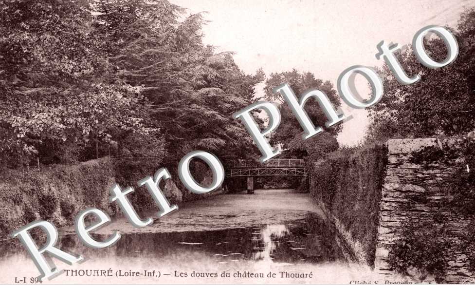 les douves du chateau de Thouare