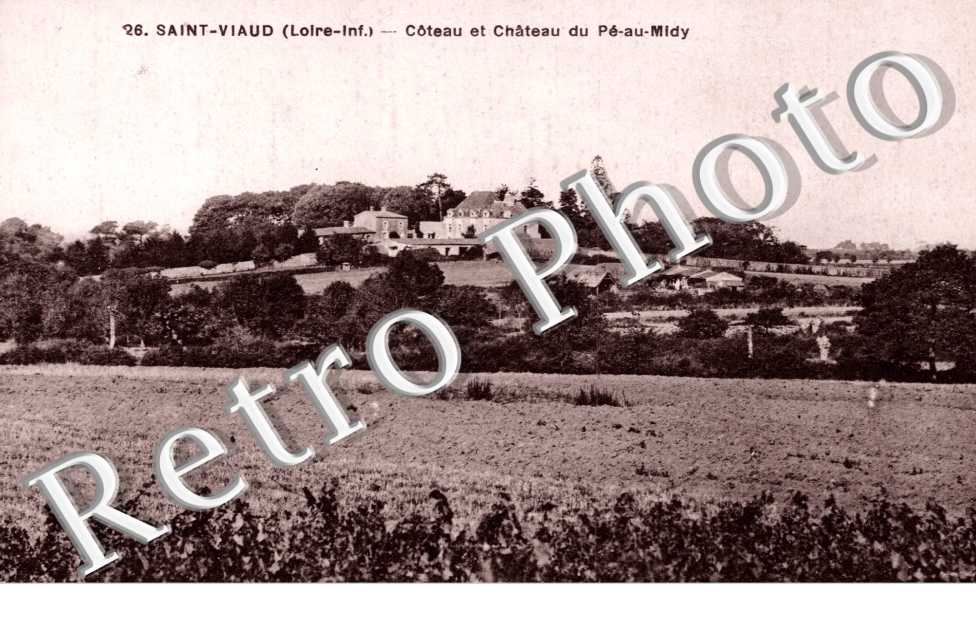 Coteau et Chateau du Pe au Midy