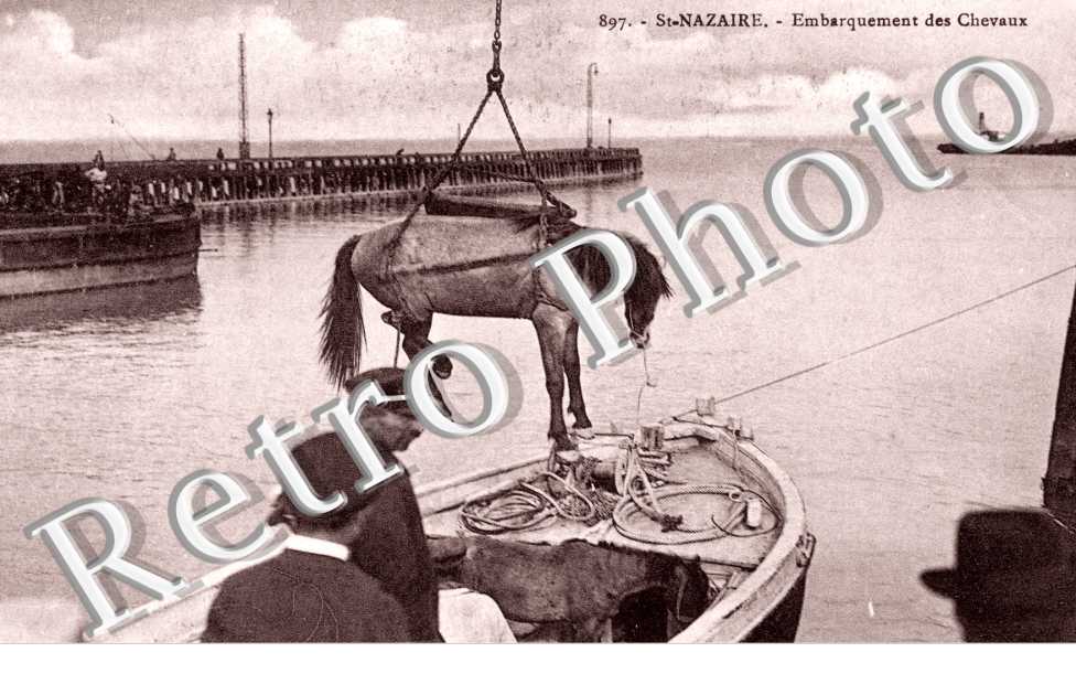 Embarquement des Chevaux