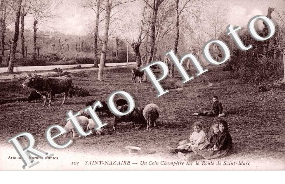 Un coin champetre sur la route de Saint Marc, enfants et animaux