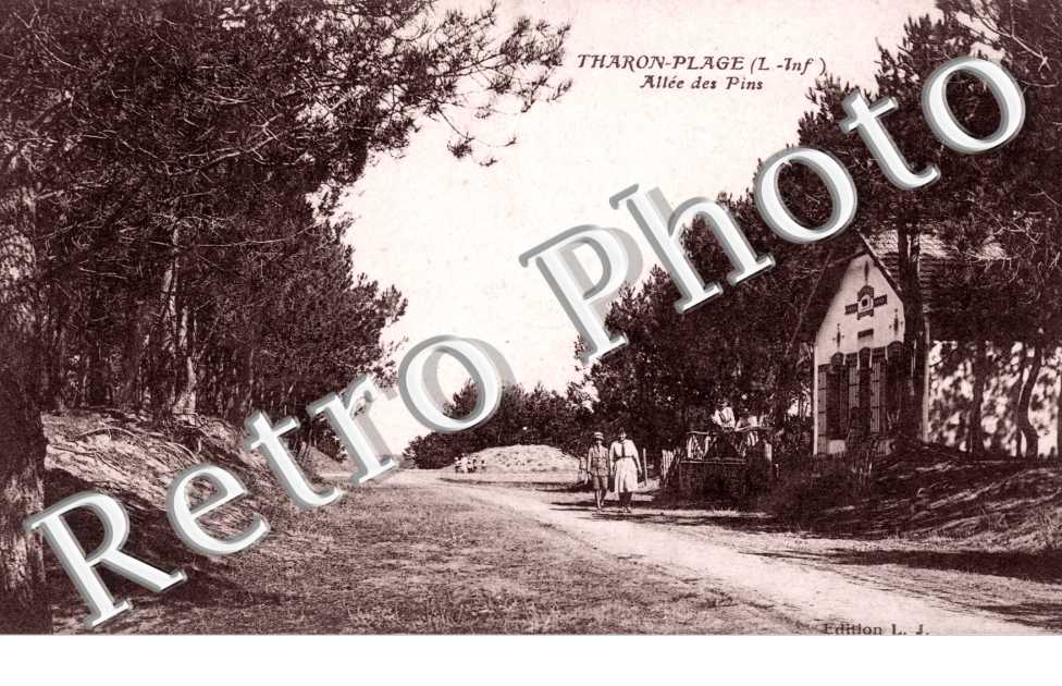 Tharon Plage, Allee des Pins