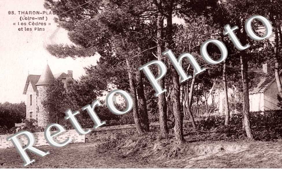 Tharon Plage - Les Cedres et les Pins