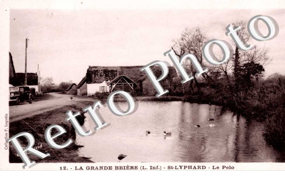 La Grande Briere, Le Pelo