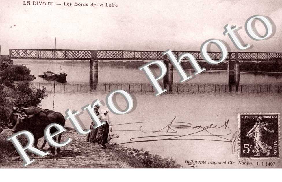 La Divate, les bords de la Loire