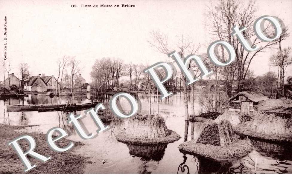 ilots de Motte en Briere