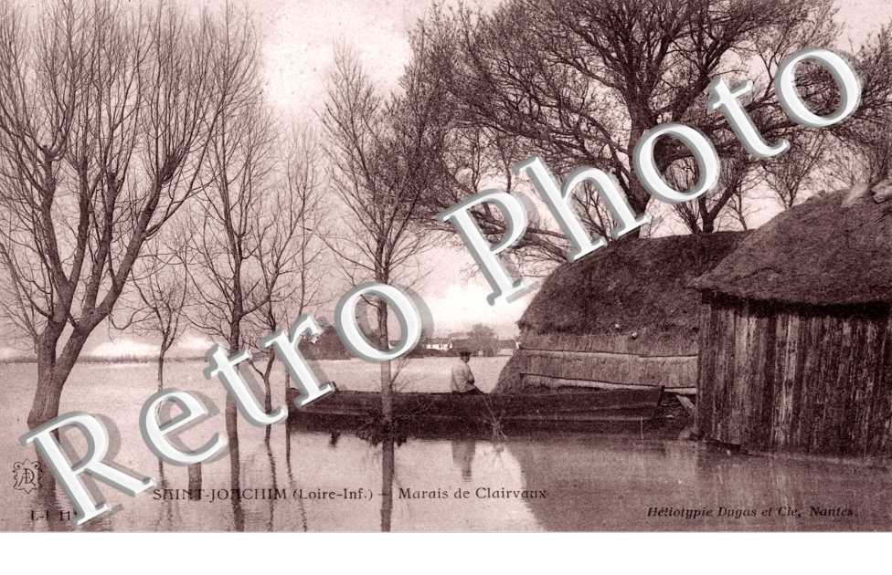 Marais de Clairvaux